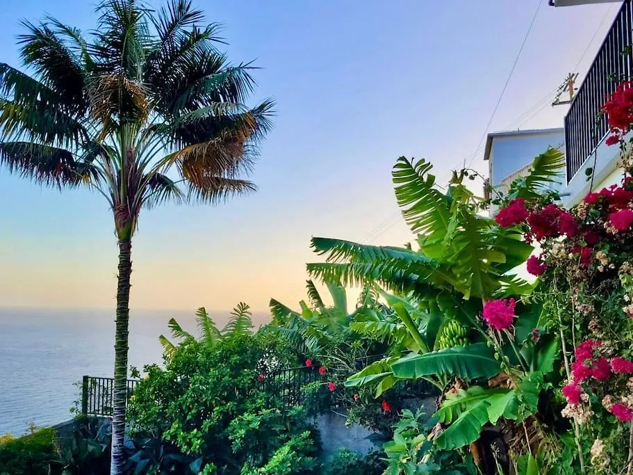 Melro'S Place By Stay Madeira Ponta do Sol  Portugal